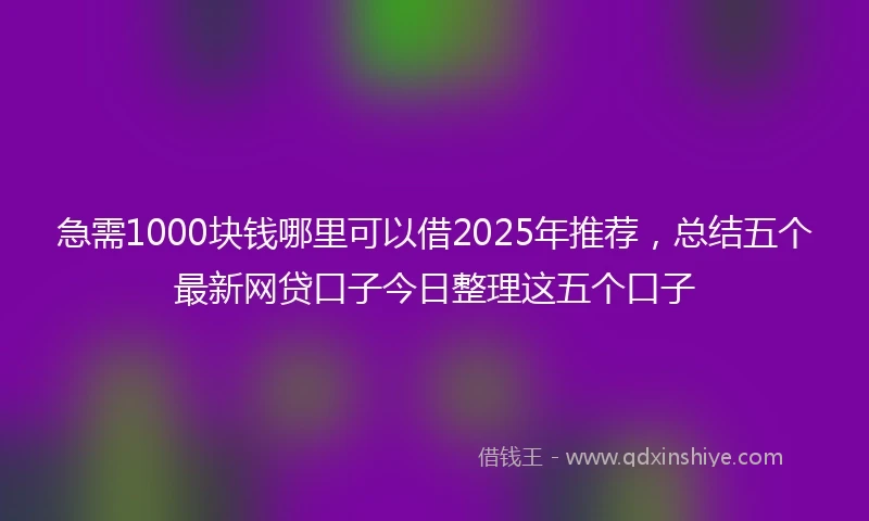 急需1000块钱哪里可以借2025年推荐，总结五个最新网贷口子今日整理这五个口子