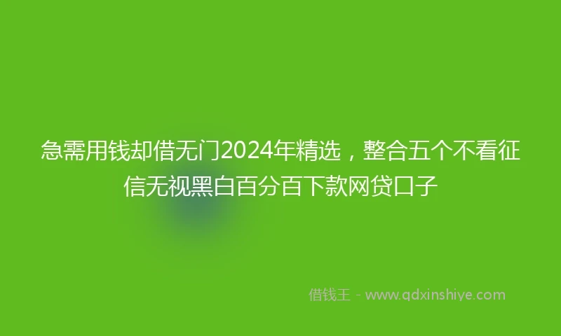 急需用钱却借无门2024年精选，整合五个不看征信无视黑白百分百下款网贷口子