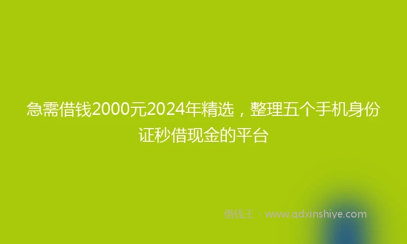 急需借钱2000元2024年精选，整理五个手机身份证秒借现金的平台