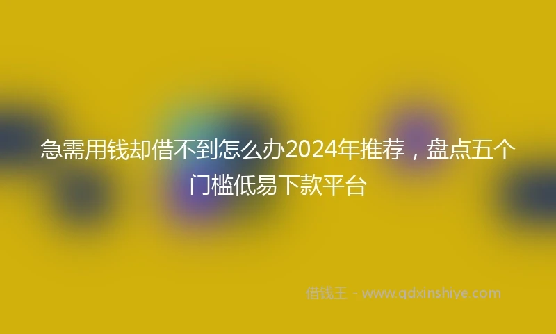 急需用钱却借不到怎么办2024年推荐，盘点五个门槛低易下款平台