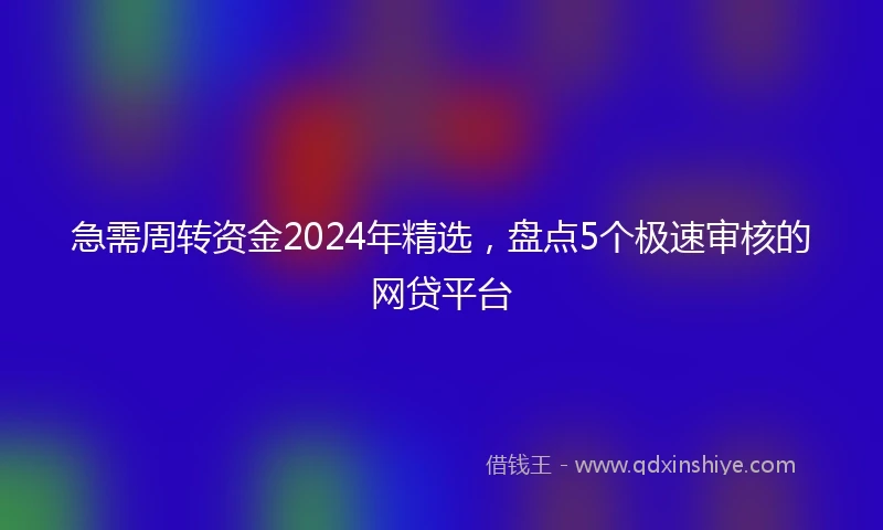 急需周转资金2024年精选，盘点5个极速审核的网贷平台