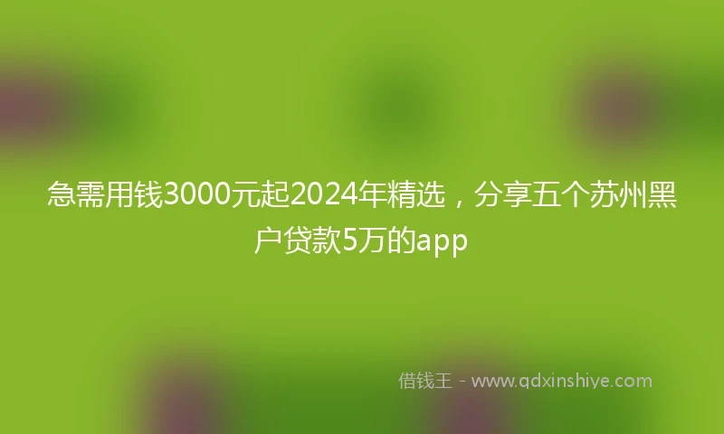 急需用钱3000元起2024年精选，分享五个苏州黑户贷款5万的app