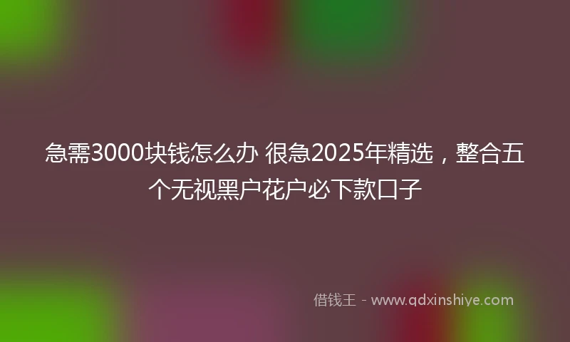 急需3000块钱怎么办 很急2025年精选，整合五个无视黑户花户必下款口子