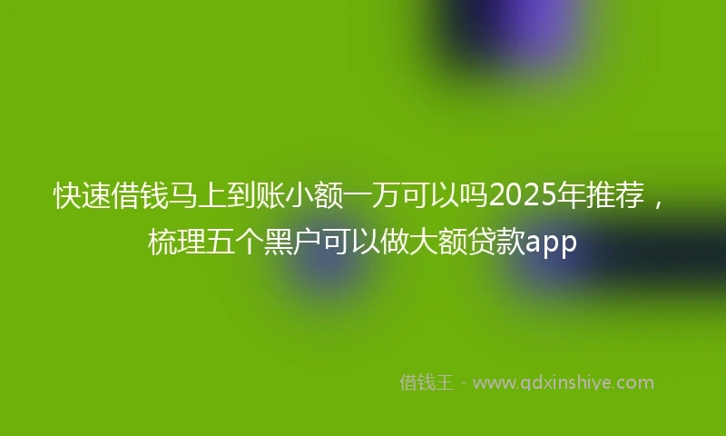 快速借钱马上到账小额一万可以吗2025年推荐，梳理五个黑户可以做大额贷款app
