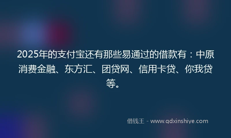 2025年的支付宝还有那些易通过的借款有：中原消费金融、东方汇、团贷网、信用卡贷、你我贷等。