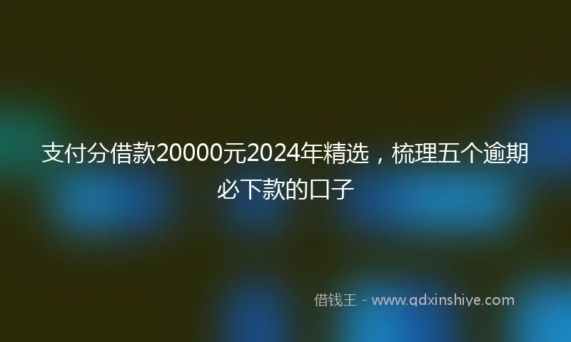 支付分借款20000元2024年精选，梳理五个逾期必下款的口子