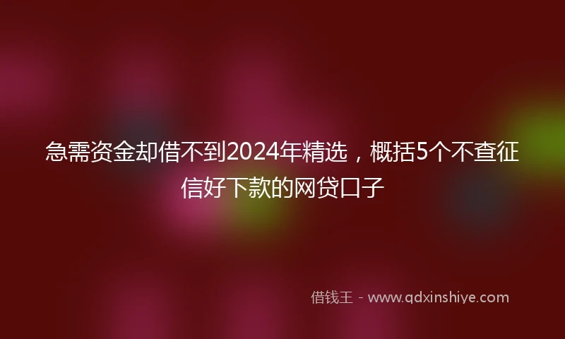 急需资金却借不到2024年精选，概括5个不查征信好下款的网贷口子