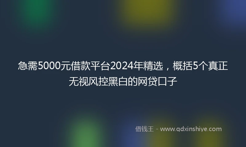急需5000元借款平台2024年精选，概括5个真正无视风控黑白的网贷口子