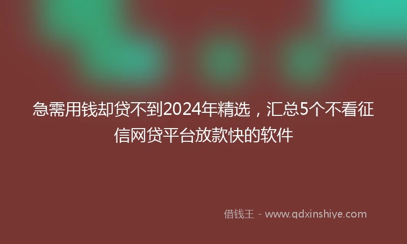 急需用钱却贷不到2024年精选，汇总5个不看征信网贷平台放款快的软件