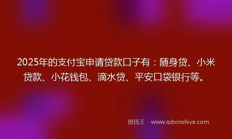 2025年的支付宝申请贷款口子有：随身贷、小米贷款、小花钱包、滴水贷、平安口袋银行等。