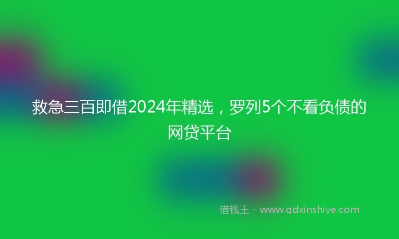 救急三百即借2024年精选，罗列5个不看负债的网贷平台