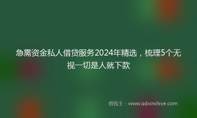 急需资金私人借贷服务2024年精选，梳理5个无视一切是人就下款