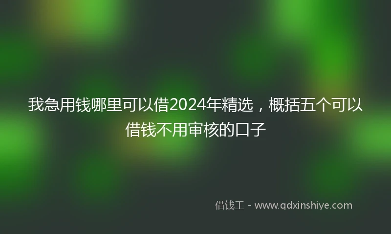 我急用钱哪里可以借2024年精选，概括五个可以借钱不用审核的口子