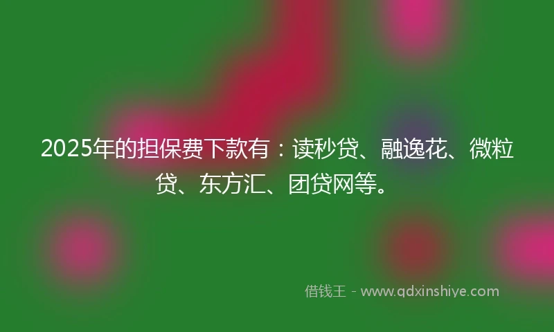 2025年的担保费下款有：读秒贷、融逸花、微粒贷、东方汇、团贷网等。