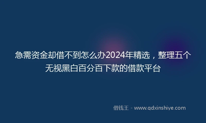 急需资金却借不到怎么办2024年精选，整理五个无视黑白百分百下款的借款平台