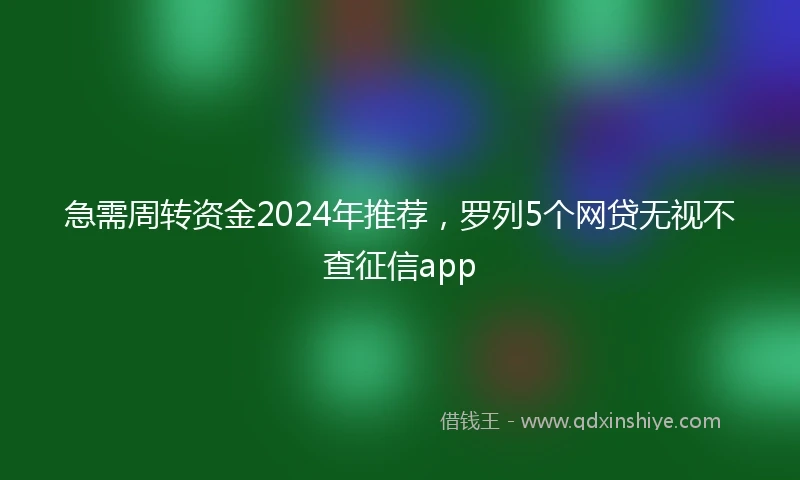 急需周转资金2024年推荐，罗列5个网贷无视不查征信app
