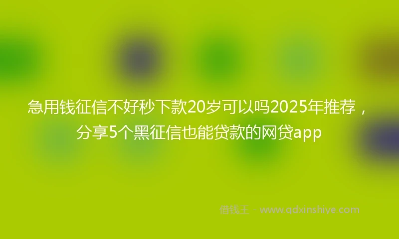 急用钱征信不好秒下款20岁可以吗2025年推荐，分享5个黑征信也能贷款的网贷app