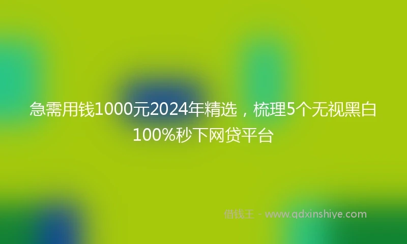 急需用钱1000元2024年精选，梳理5个无视黑白100%秒下网贷平台