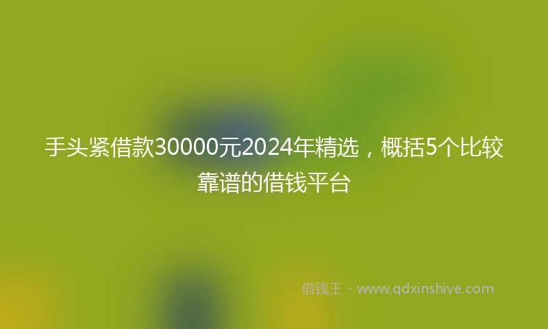 手头紧借款30000元2024年精选，概括5个比较靠谱的借钱平台