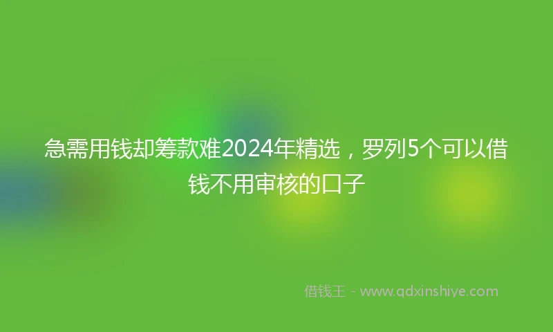 急需用钱却筹款难2024年精选，罗列5个可以借钱不用审核的口子