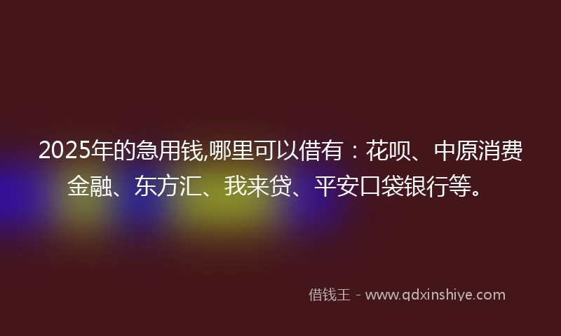 2025年的急用钱,哪里可以借有：花呗、中原消费金融、东方汇、我来贷、平安口袋银行等。