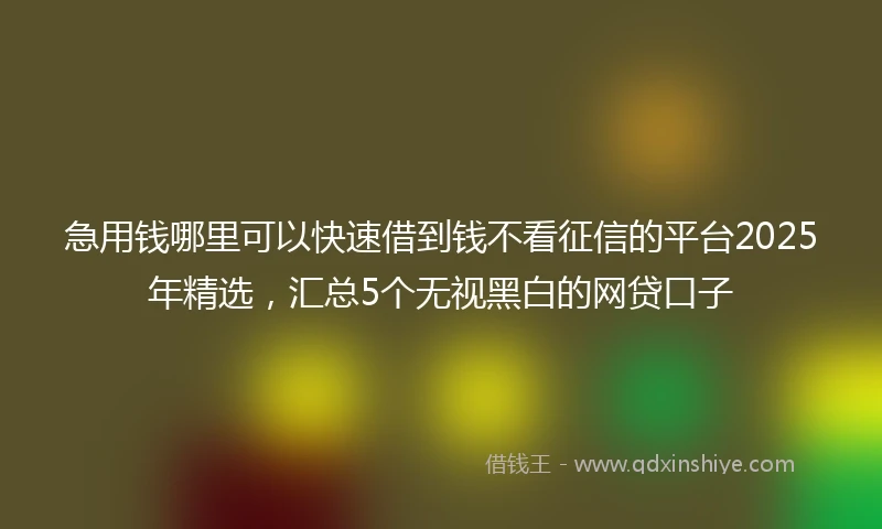 急用钱哪里可以快速借到钱不看征信的平台2025年精选，汇总5个无视黑白的网贷口子