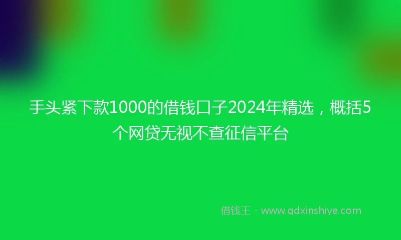 手头紧下款1000的借钱口子2024年精选，概括5个网贷无视不查征信平台