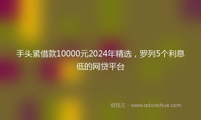 手头紧借款10000元2024年精选，罗列5个利息低的网贷平台