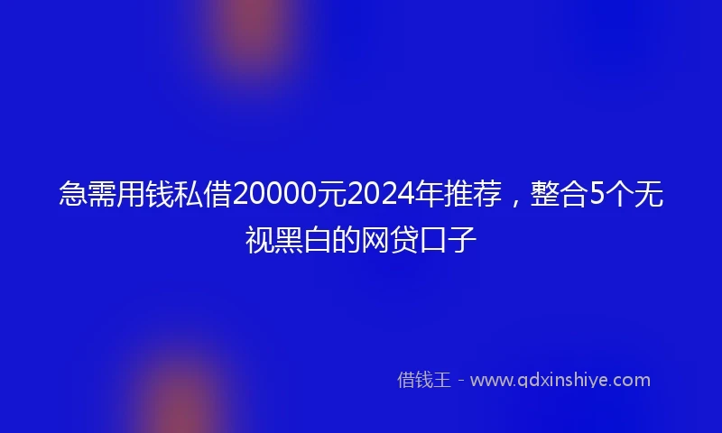 急需用钱私借20000元2024年推荐，整合5个无视黑白的网贷口子