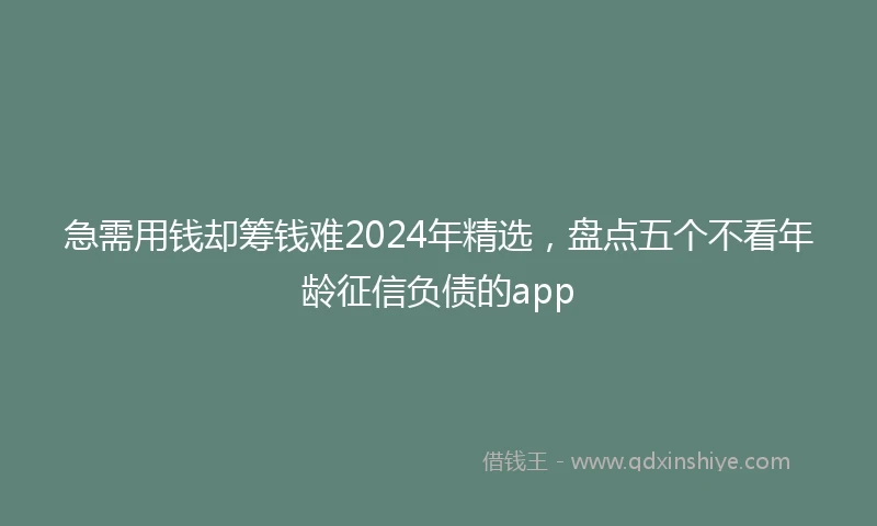 急需用钱却筹钱难2024年精选，盘点五个不看年龄征信负债的app