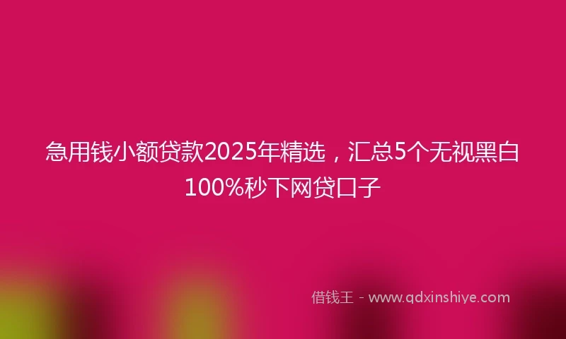 急用钱小额贷款2025年精选，汇总5个无视黑白100%秒下网贷口子
