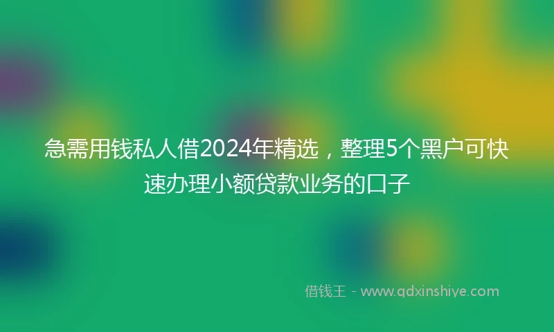急需用钱私人借2024年精选，整理5个黑户可快速办理小额贷款业务的口子