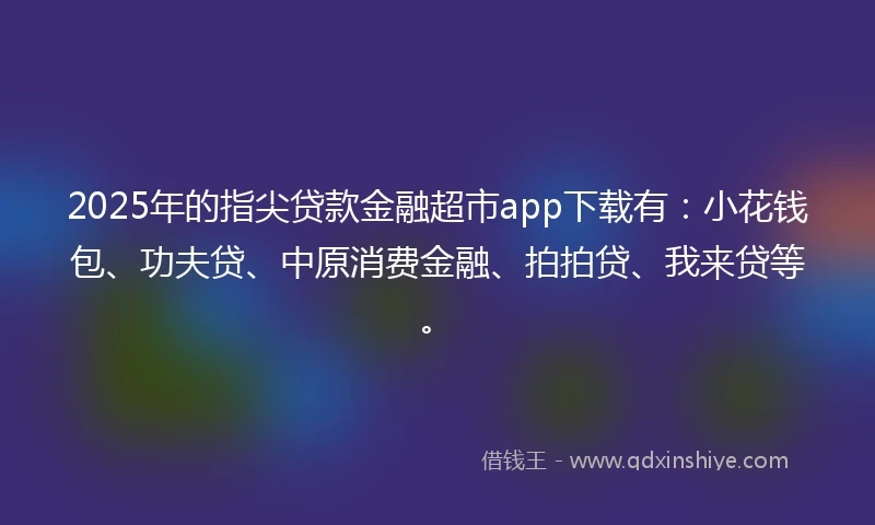 2025年的指尖贷款金融超市app下载有：小花钱包、功夫贷、中原消费金融、拍拍贷、我来贷等。