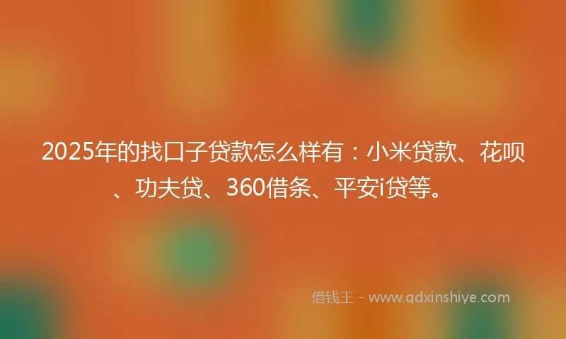 2025年的找口子贷款怎么样有：小米贷款、花呗、功夫贷、360借条、平安i贷等。