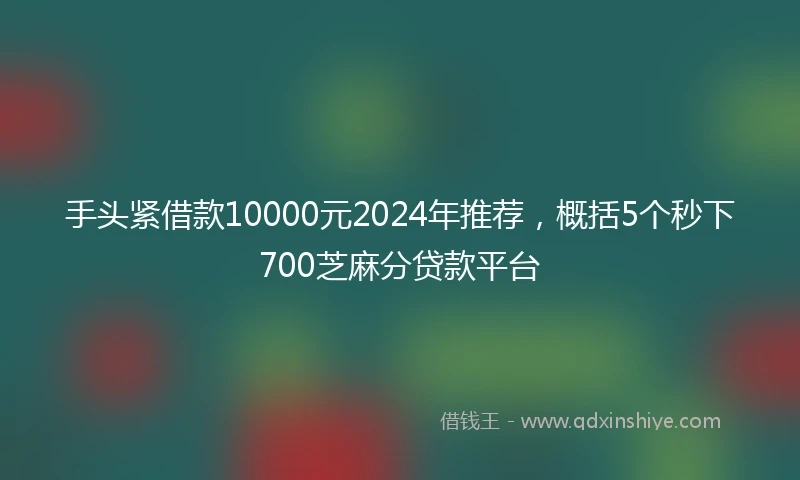 手头紧借款10000元2024年推荐，概括5个秒下700芝麻分贷款平台
