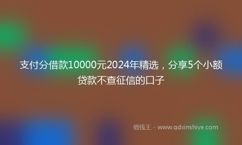 支付分借款10000元2024年精选，分享5个小额贷款不查征信的口子