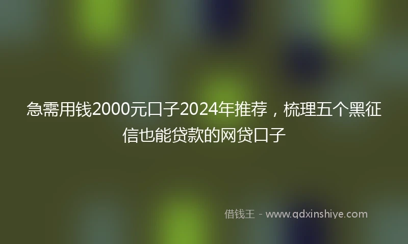 急需用钱2000元口子2024年推荐，梳理五个黑征信也能贷款的网贷口子