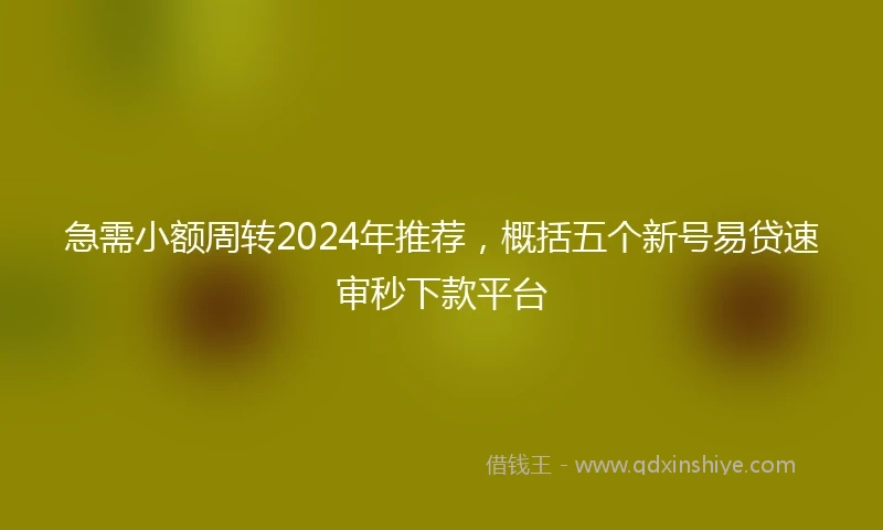 急需小额周转2024年推荐，概括五个新号易贷速审秒下款平台