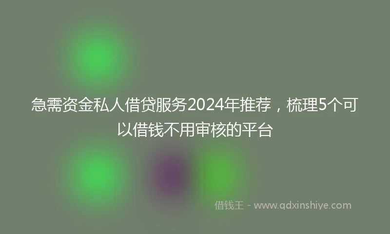 急需资金私人借贷服务2024年推荐，梳理5个可以借钱不用审核的平台