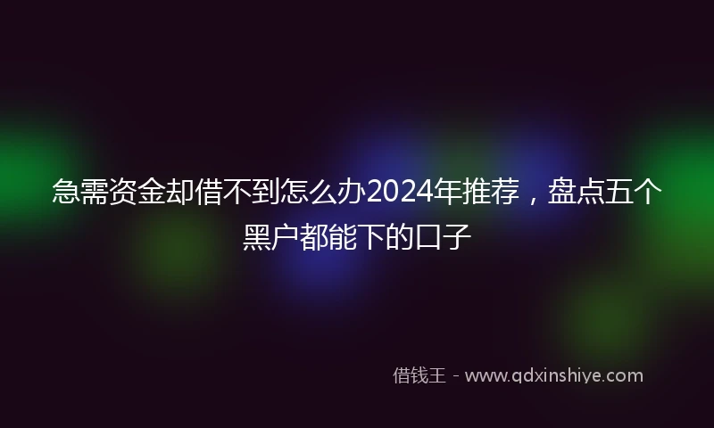 急需资金却借不到怎么办2024年推荐，盘点五个黑户都能下的口子