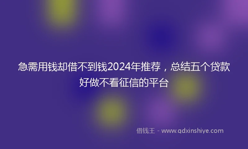 急需用钱却借不到钱2024年推荐，总结五个贷款好做不看征信的平台