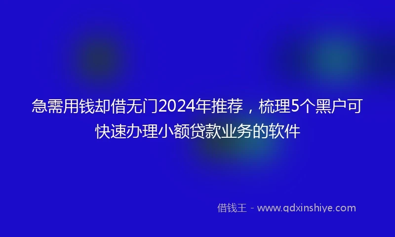 急需用钱却借无门2024年推荐，梳理5个黑户可快速办理小额贷款业务的软件