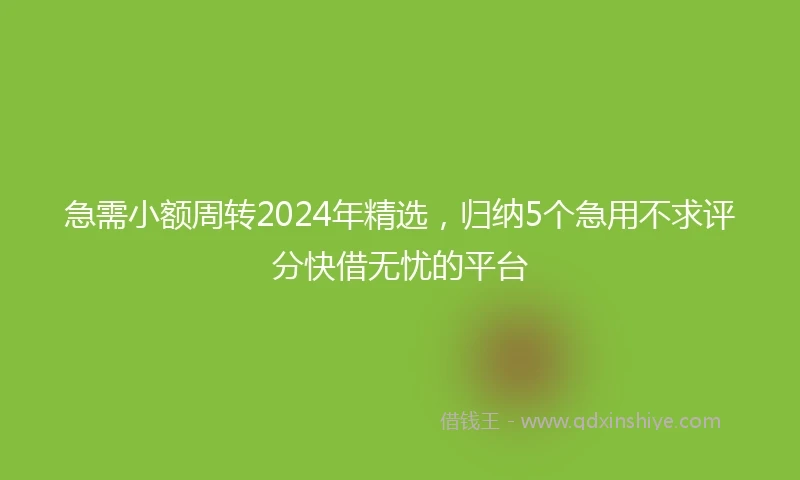 急需小额周转2024年精选，归纳5个急用不求评分快借无忧的平台