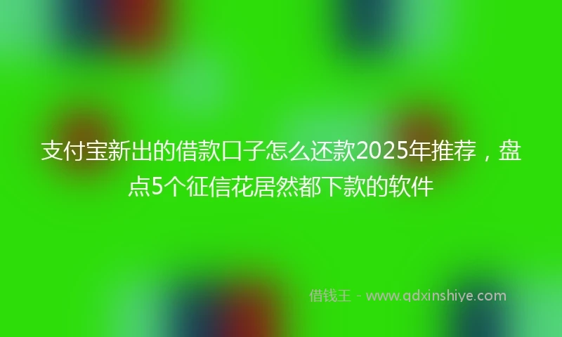 支付宝新出的借款口子怎么还款2025年推荐，盘点5个征信花居然都下款的软件