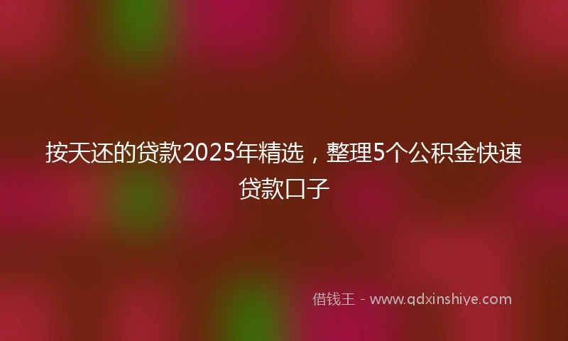 按天还的贷款2025年精选，整理5个公积金快速贷款口子