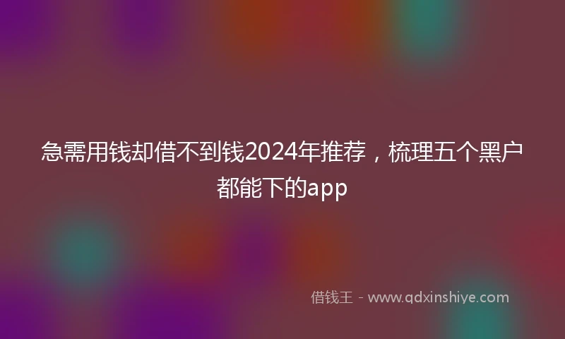 急需用钱却借不到钱2024年推荐，梳理五个黑户都能下的app
