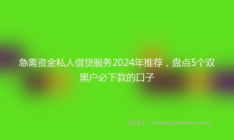 急需资金私人借贷服务2024年推荐，盘点5个双黑户必下款的口子