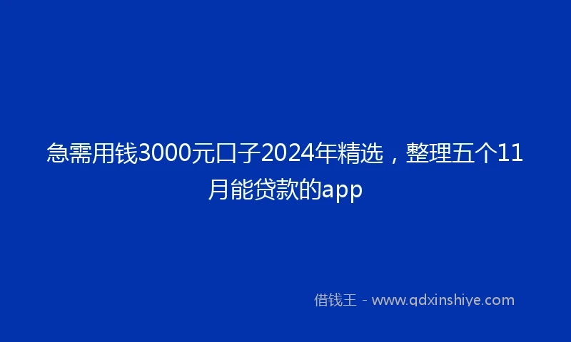 急需用钱3000元口子2024年精选，整理五个11月能贷款的app