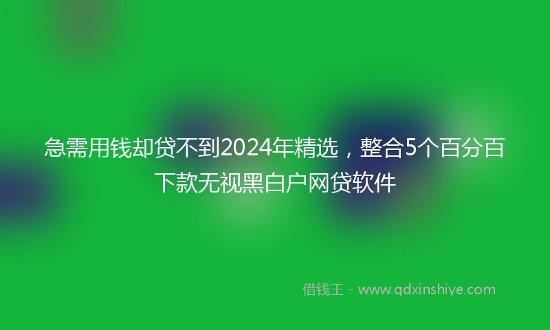 急需用钱却贷不到2024年精选，整合5个百分百下款无视黑白户网贷软件
