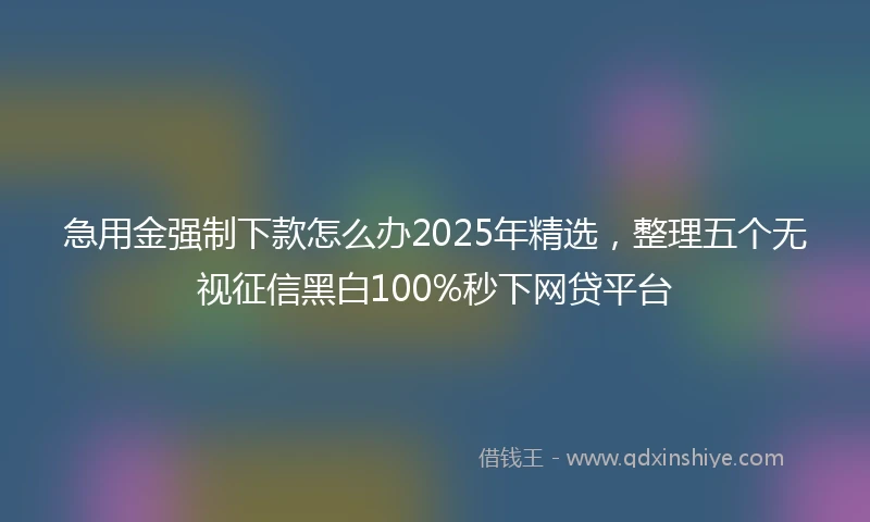 急用金强制下款怎么办2025年精选，整理五个无视征信黑白100%秒下网贷平台